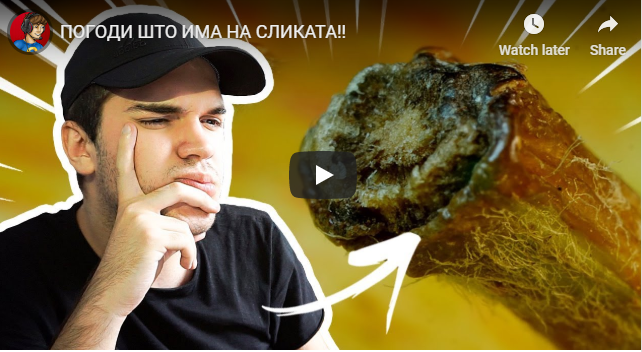 ПОГОДИ ШТО ИМА НА СЛИКАТА!!