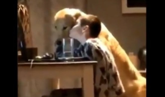 Видео кое го освои Интернетот: Момче и куче седат еден до друг, а потоа...