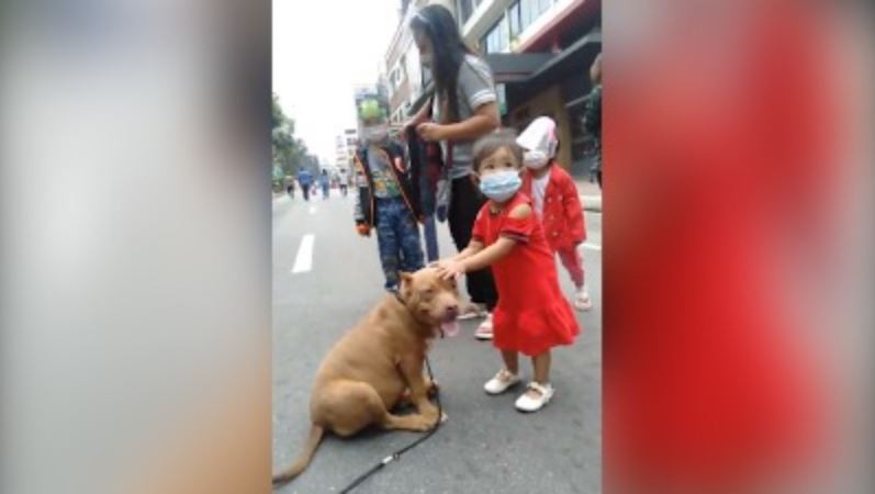 Љубов која не може да се објасни: Никако не можат да ги раздвојат девојчето и кучето