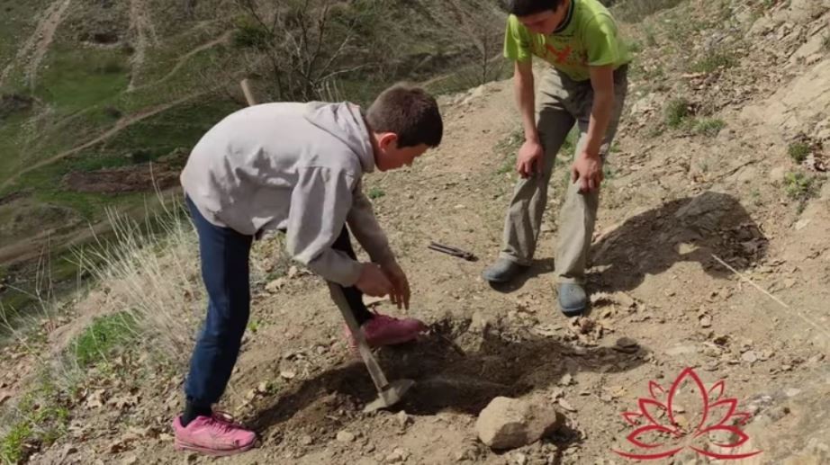 Имаат само една скромна желба: Браќата Данијел и Јовица чуваат добиток и сами копаат канали за вода за да можат да се искапат