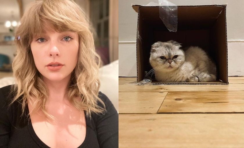 Вистинска „cat lady“: Тејлор Свифт ги покажа сите мачки и ги разнежни обожавателите