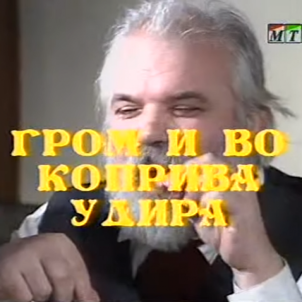 Потсетување на животните лекции од приказните: „Гром и во коприва удира“