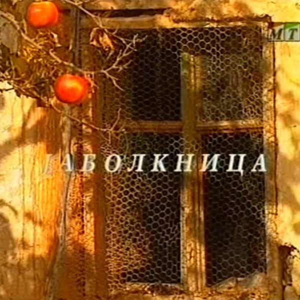 Потсетување на животните лекции од приказните: „Јаболкница“