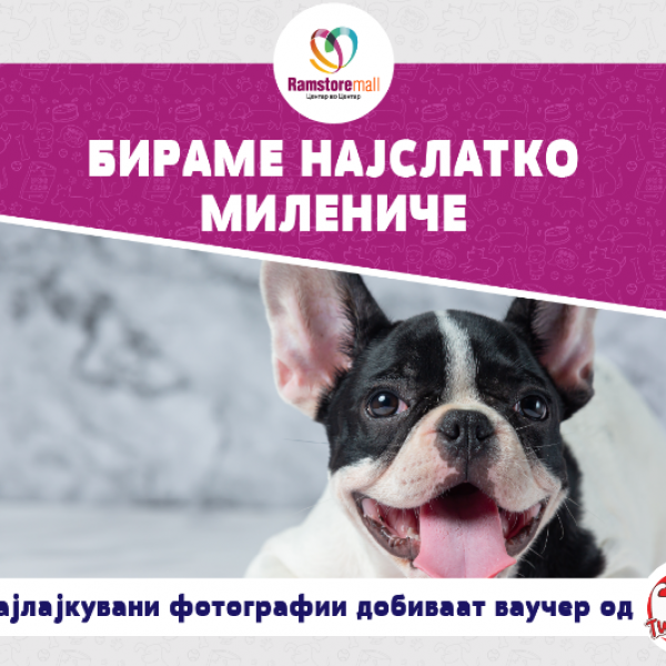 РАМСТОР МОЛ ГО ОДБЕЛЕЖУВА СВЕТСКИОТ ДЕН ЗА ЗАШТИТА НА ЖИВОТНИТЕ