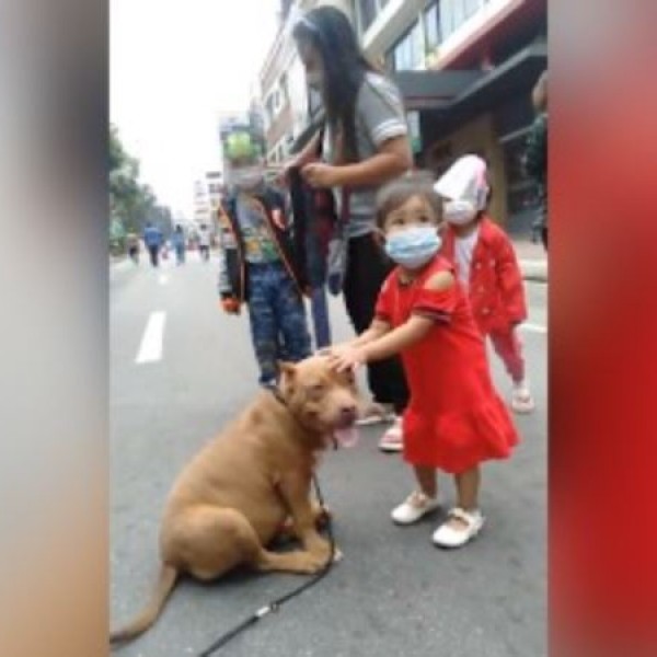 Љубов која не може да се објасни: Никако не можат да ги раздвојат девојчето и кучето