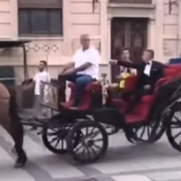 За лајкови или кејф: Матурант од Битола со два пајтони прошета низ градот на конзулите