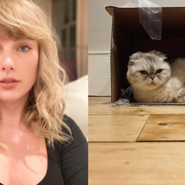 Вистинска „cat lady“: Тејлор Свифт ги покажа сите мачки и ги разнежни обожавателите